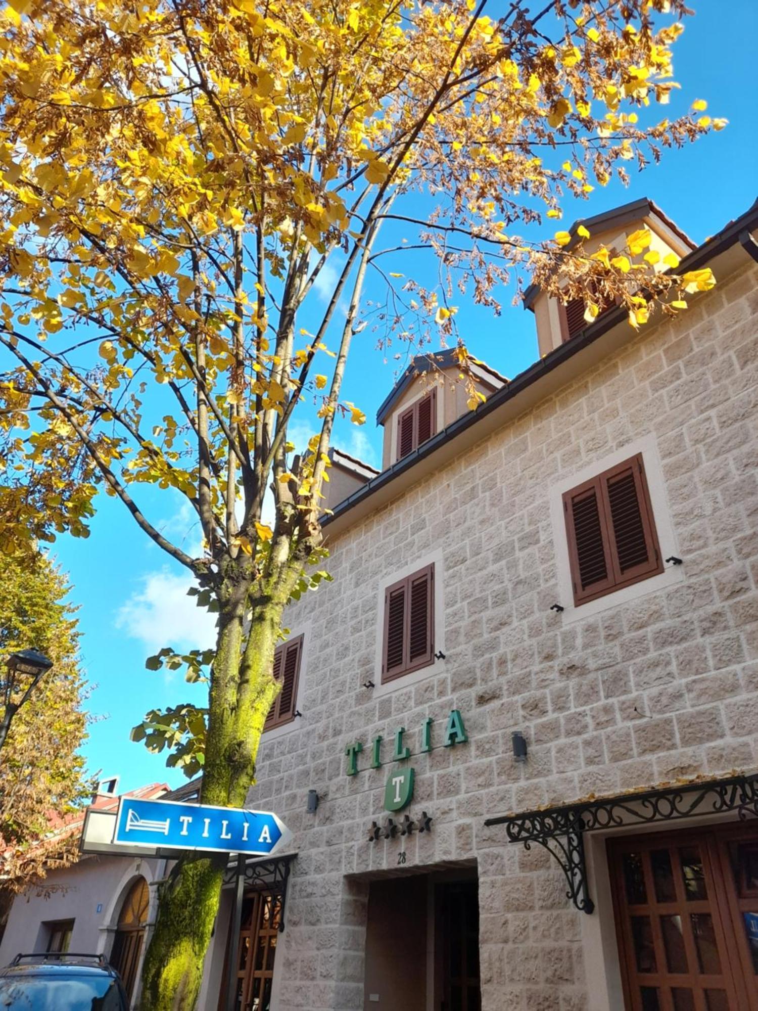 Tilia Hotel Cetinje Luaran gambar